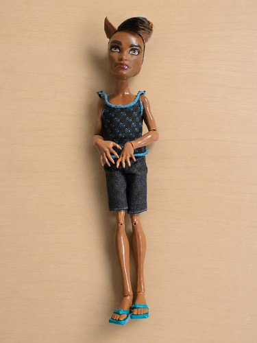 Monster high festival - monster,